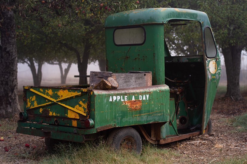 antique green truck