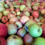 apples