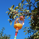 grabbing apple